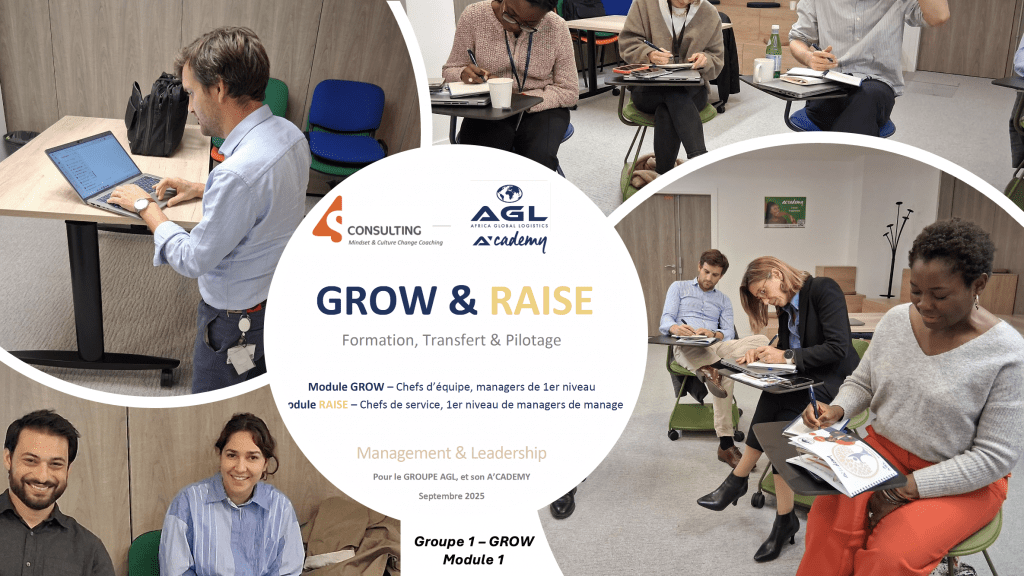 Nouveau partenariat international pour 4S aux côtés des leaders et managers d’Africa Global Logistics (Groupe AGL).